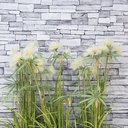 Tuscolana San Giovanni